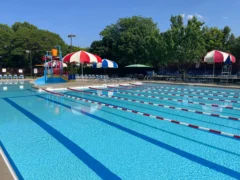 Rehm Park & Pool