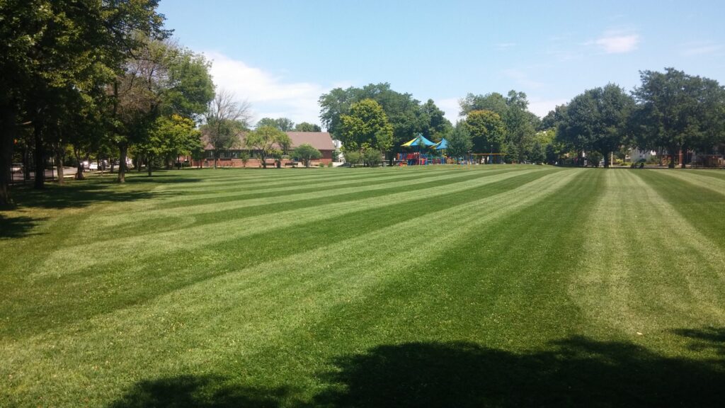 Longfellow Park & Center
