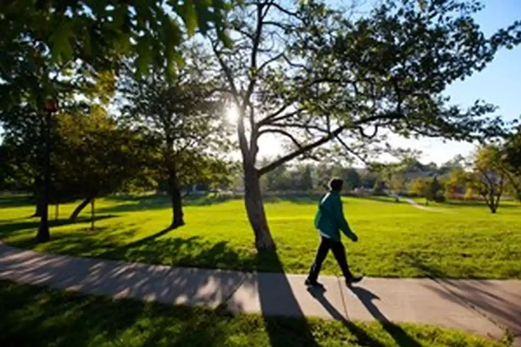 A person walks on a paved path through a grassy park with trees and sunlight filtering through the leaves.