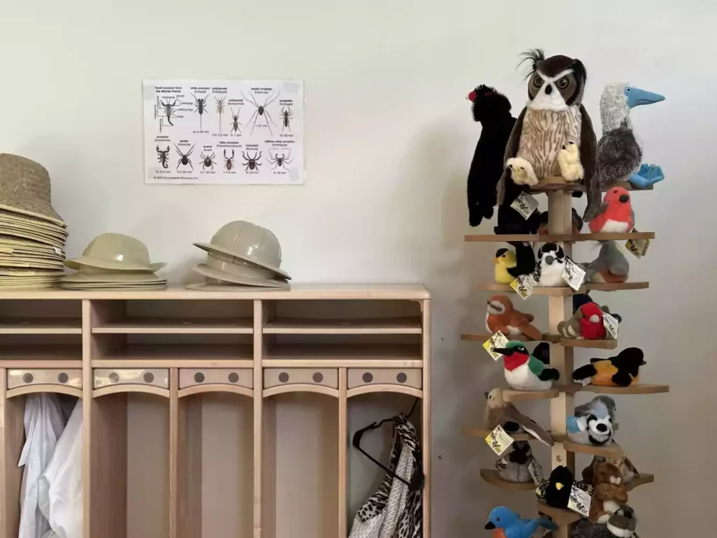 A wooden cubby unit holds hats and a poster of insects. A tiered display features numerous stuffed birds.