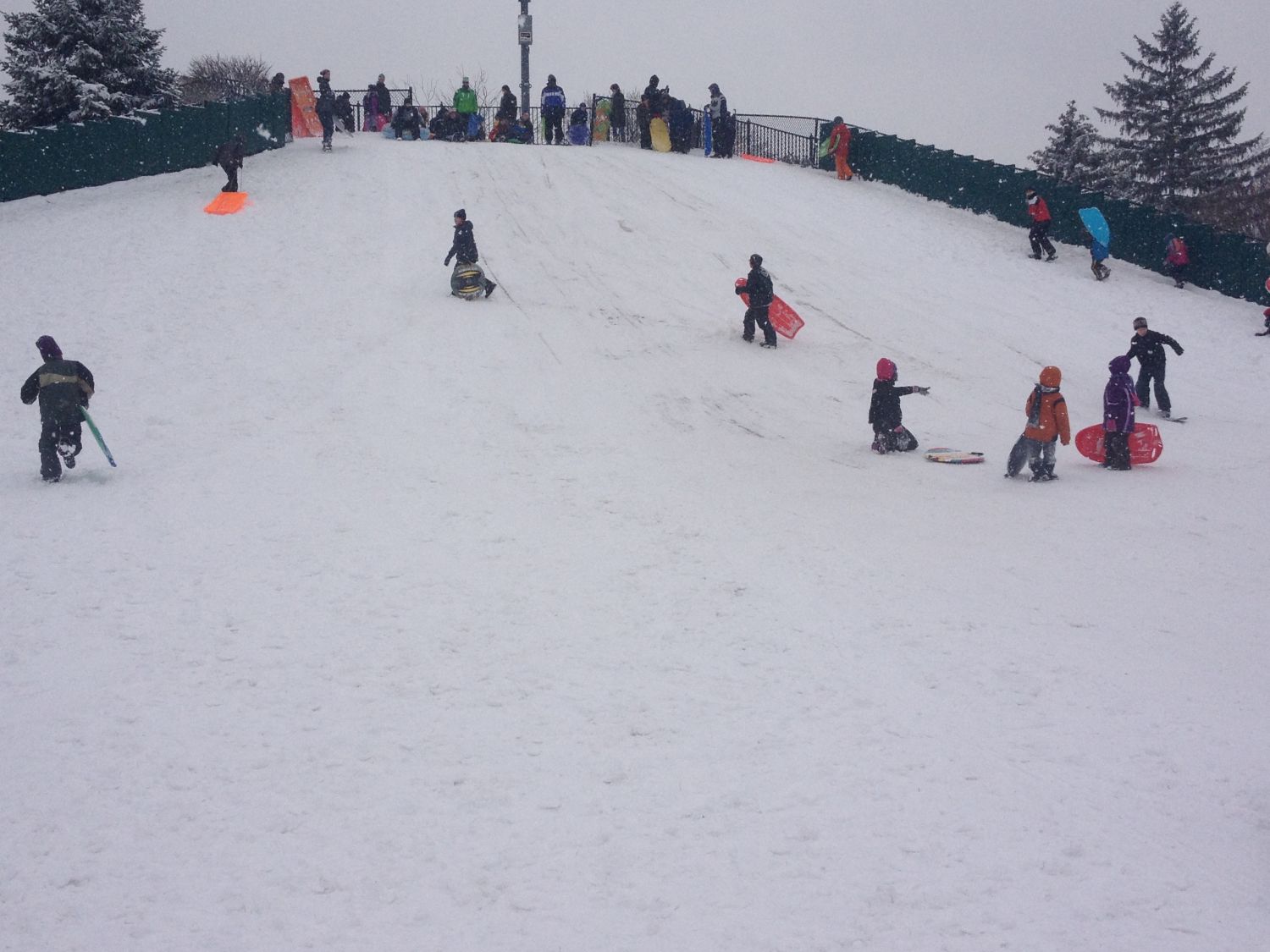 snowy hill with kids riding sleds down