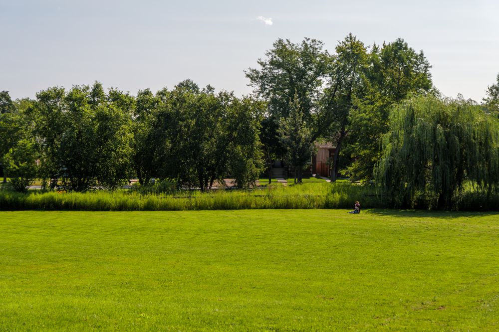 Taylor Park