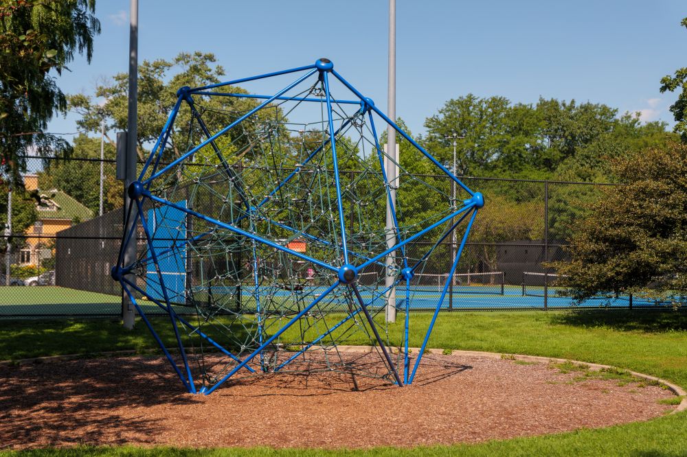 Taylor Park