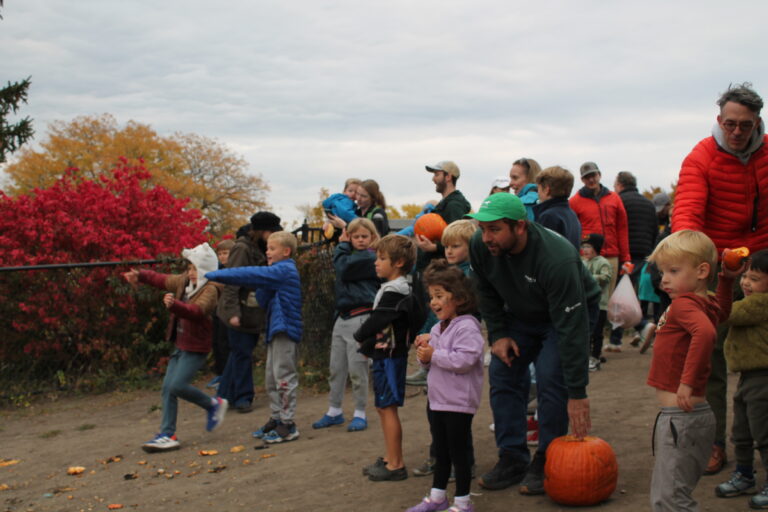 Pumpkin Smash & Compost